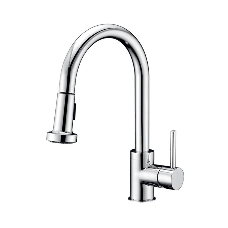 Brushed Nickel Sink Kitchen Faucets With Pull Down Sprayer