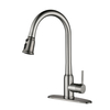 Kitchen Faucet with Pull Down Sprayer AF1035-5