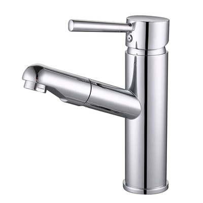 Single Handle Bathroom Basin Faucet with Pull Out Sprayer