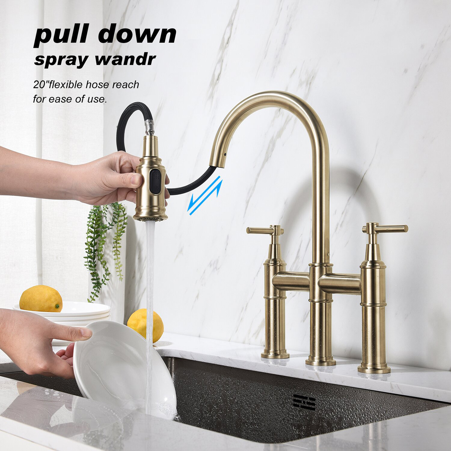 Luxury Induction Polished Bridge Faucet with Hand Spray