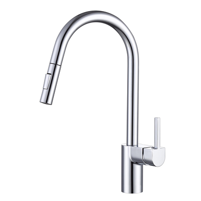 Spray Head Kitchen Faucets With Pull Down Sprayer